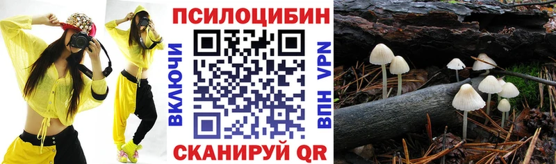 Галлюциногенные грибы Psilocybe Баймак
