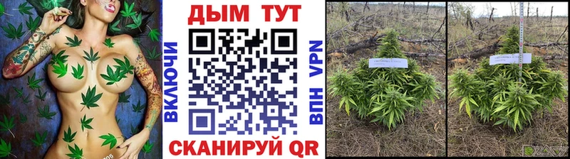 omg как войти даркнет телеграм Каннабис Bruce Banner Баймак